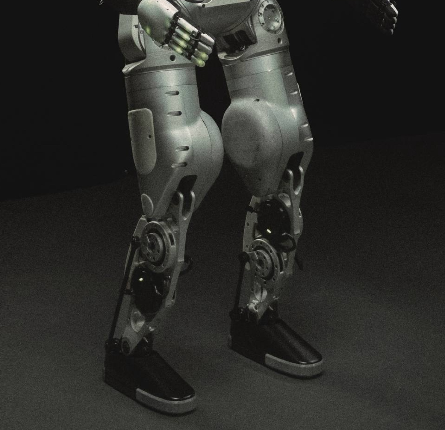 Alpha Bipedal head structure